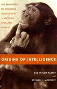 origins of intelligence