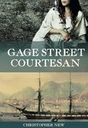 beggar's chicken: stories from shanghai (en Inglés)