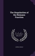 The Singularities of the Riemann Function (en Inglés)