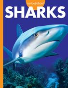 Curious about Sharks (en Inglés)