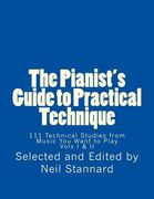 The Pianist'S Guide to Practical Technique: 111 Technical Studies From Music you Want to Play