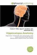 hippocampus anatomy