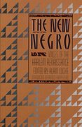 the new negro