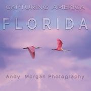 Capturing America - Florida (en Inglés)