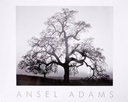 Oak Tree, Sunset City, California 1932 (en Inglés)