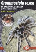 Grammostola Rosea: La Tarántula Chilena y Otras Especies Afines