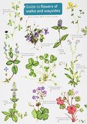 Guide to flowers of walks and waysides 2017 (Hardback) (en Inglés)