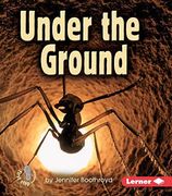 Under the Ground Format: Paperback (en Inglés)