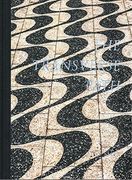 Mike Slack: The Transverse Path: (or Nature's Little Secret) (en Inglés)