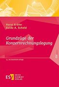 Grundzüge der Konzernrechnungslegung: Mit Fragen, Aufgaben und Lösungen (Esvbasics) (en Alemán)