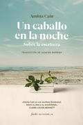Un caballo en la noche