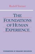 foundations of human experience