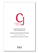 Introduccion al derecho procesal. Nuevas aproximaciones. Segunda edición ampliada y actualizada