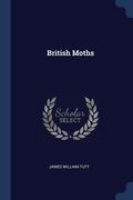 British Moths