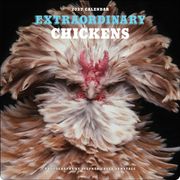 Extraordinary Chickens 2027 Wall Calendar (en Inglés)