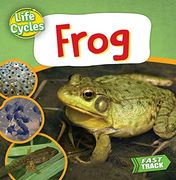 Frog (Life Cycles) (en Inglés)