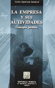 empresa y sus actividades, la