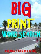 Big Print Word Search: 133 Entertaining Themed Puzzles 