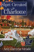 Short-Circuited in Charlotte (en Inglés)