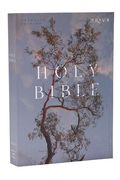 Nrsv Catholic Edition Bible, Eucalyptus Paperback (Global Cover Series)