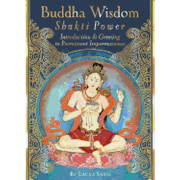 Buddha Wisdom, Shakti Power: Introduction and Greeting to Permanent Impermanence (en Anglais)