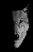 In the Company of Wolves: Werewolves, Wolves and Wild Children