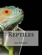 Reptiles (en Inglés)