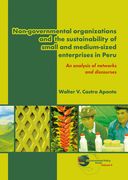 Non-Governmental Organizations and the Sustainability of Small and Medium-Sized Enterprises in Peru: An Analysis of Networks and Discourses (en Inglés)
