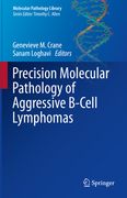 Precision Molecular Pathology of Aggressive B-Cell Lymphomas (en Inglés)