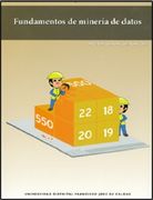 Fundamentos de Minería de Datos - - Libro Físico (in Spanish)