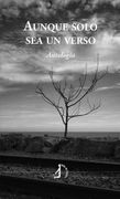 Aunque Solo sea un Verso (in Spanish)