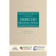 Derecho Procesal Penal: Estudios Fundamentales (in Spanish)