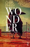 Wonder (en Inglés)