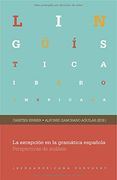 La Excepcion en la Gramatica Española: Perspectivas del Analisis