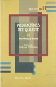 MEDITACIONES DEL QUIJOTE
