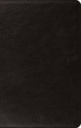 ESV LP THINLINE BIBLE (BLACK)