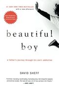 beautiful boy,a father´s journey through his son´s addiction
