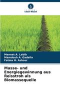 Masse- und Energiegewinnung aus Reisstroh als Biomassequelle (en Alemán)