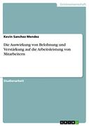 Die Auswirkung von Belohnung und Verstärkung auf die Arbeitsleistung von Mitarbeitern (en Alemán)