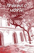 Triángulo mortal. Una novela negra