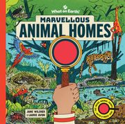 Marvellous Animal Homes. A Magic Lens Book (en Inglés)