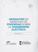 Asignacion de Derechos de Propiedad Sobre la Transmision Electrica