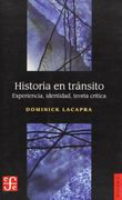 Historia en Tránsito. Experiencia, Identidad, Teoría Crítica (in Spanish)