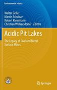 acidic pit lakes