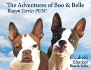 The Adventures of Boo & Belle: Boston Terrier FUN! (en Inglés)