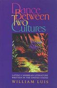 a dance between two cultures: stories of living with diabetes (en Inglés)