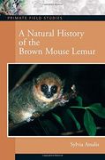 A Natural History of the Brown Mouse Lemur (en Inglés)