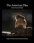 The American Pika: notes from the field (en Inglés)