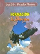 Formacion de Lideres