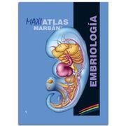 Embriologia Maxi Atlas 1 (38 cm x 29 cm)